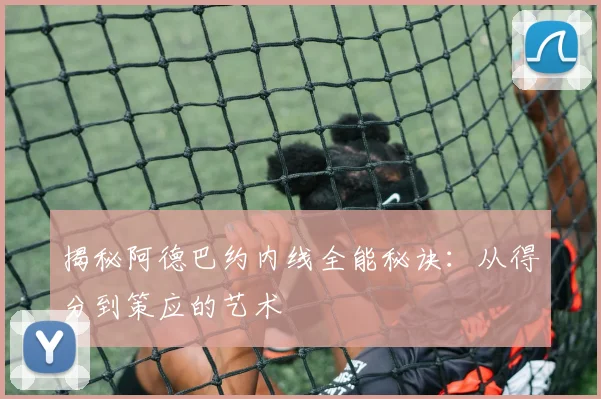 揭秘阿德巴约内线全能秘诀:从得分到策应的艺术